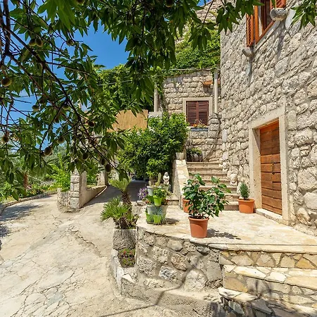 Summer Holiday home