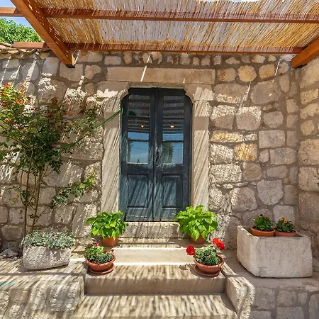 Summer Трстено