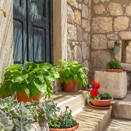 Summer Дом отдыха Трстено