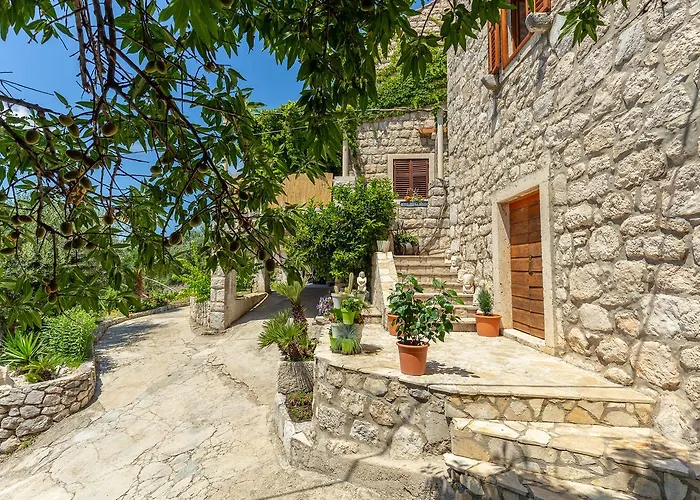 Summer بيت للعطل