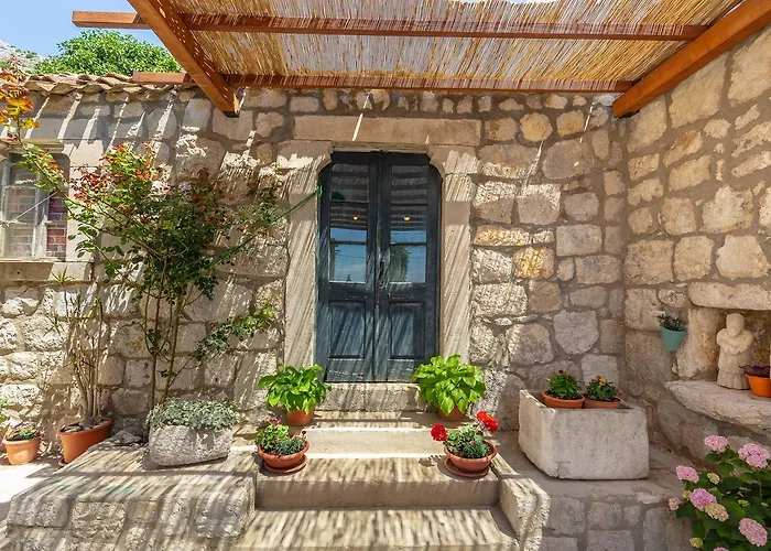 Summer تريستينو