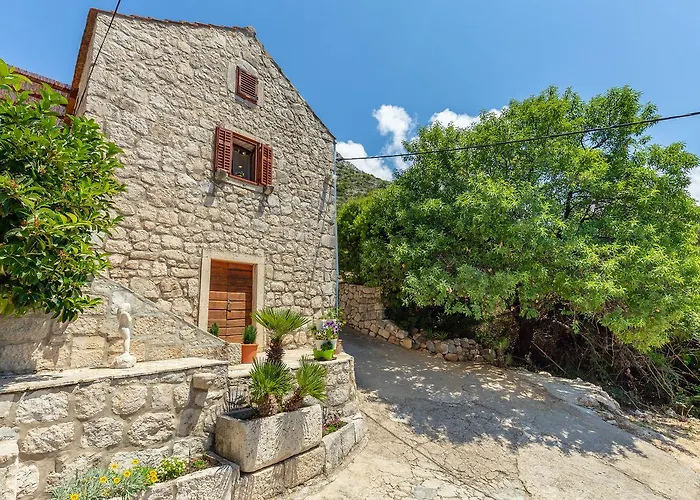 بيت للعطل Summer