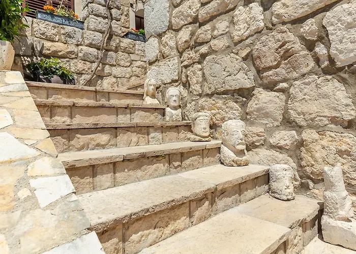 Summer تريستينو