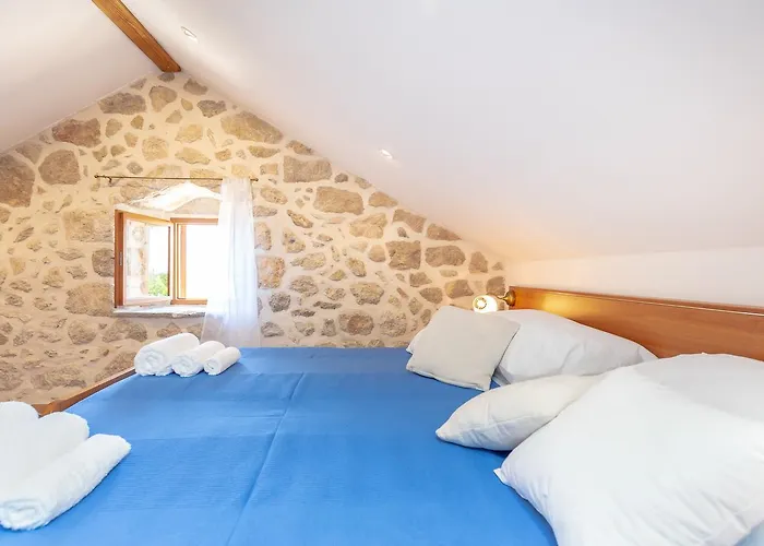 Summer * تريستينو